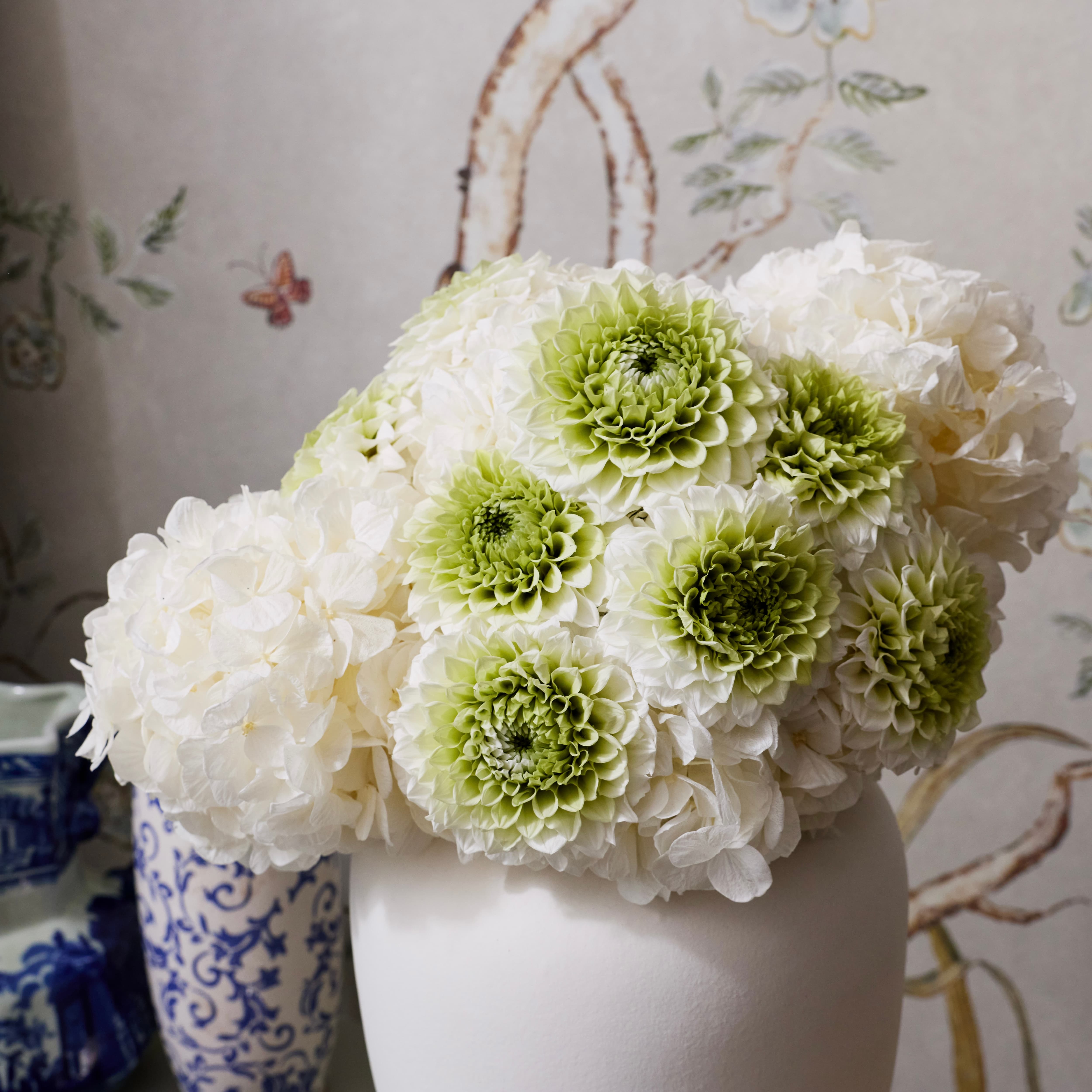 image-with-thumbnail 