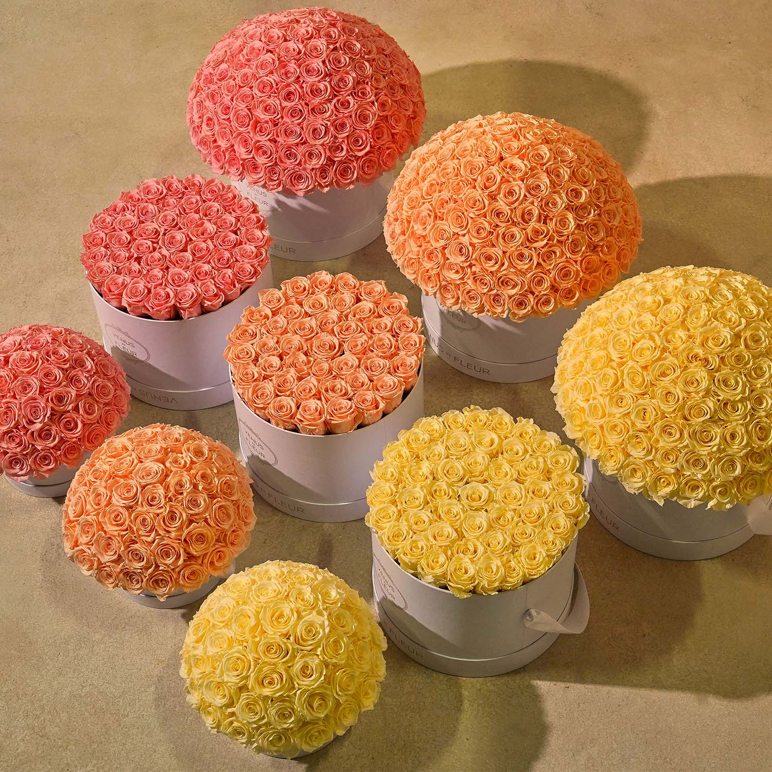 image-with-thumbnail 
