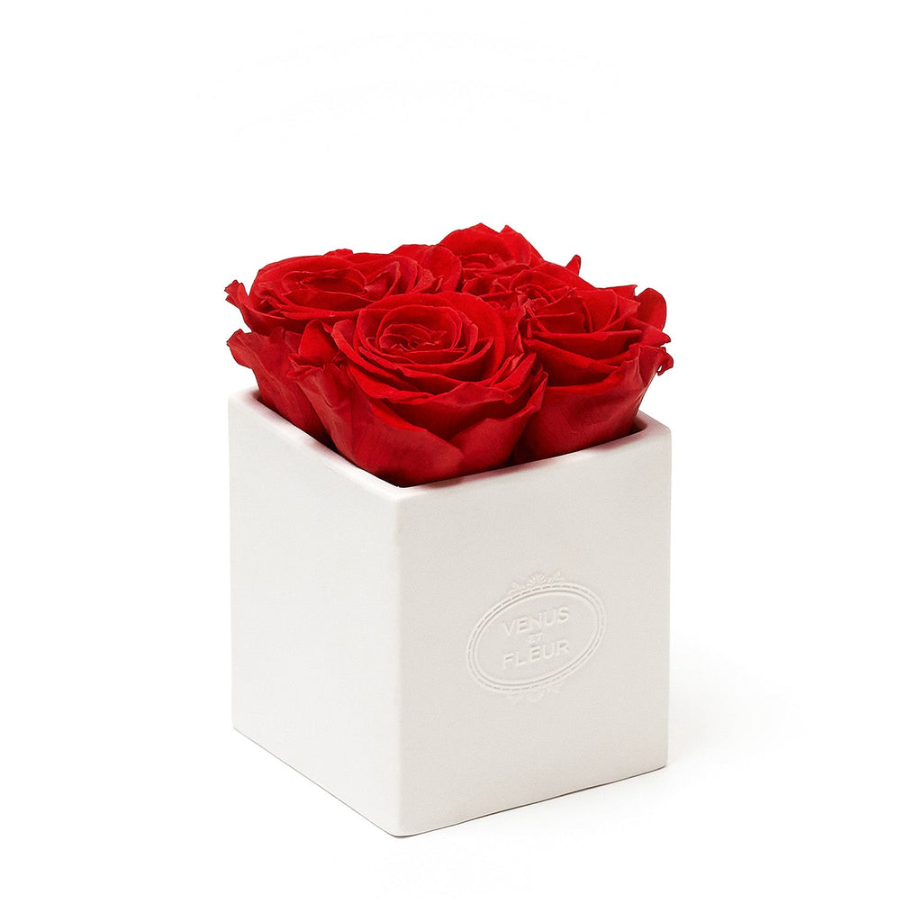 Sylvie Porcelain Vase, Roses, Red, 4 Eternity Roses, Venus et Fleur