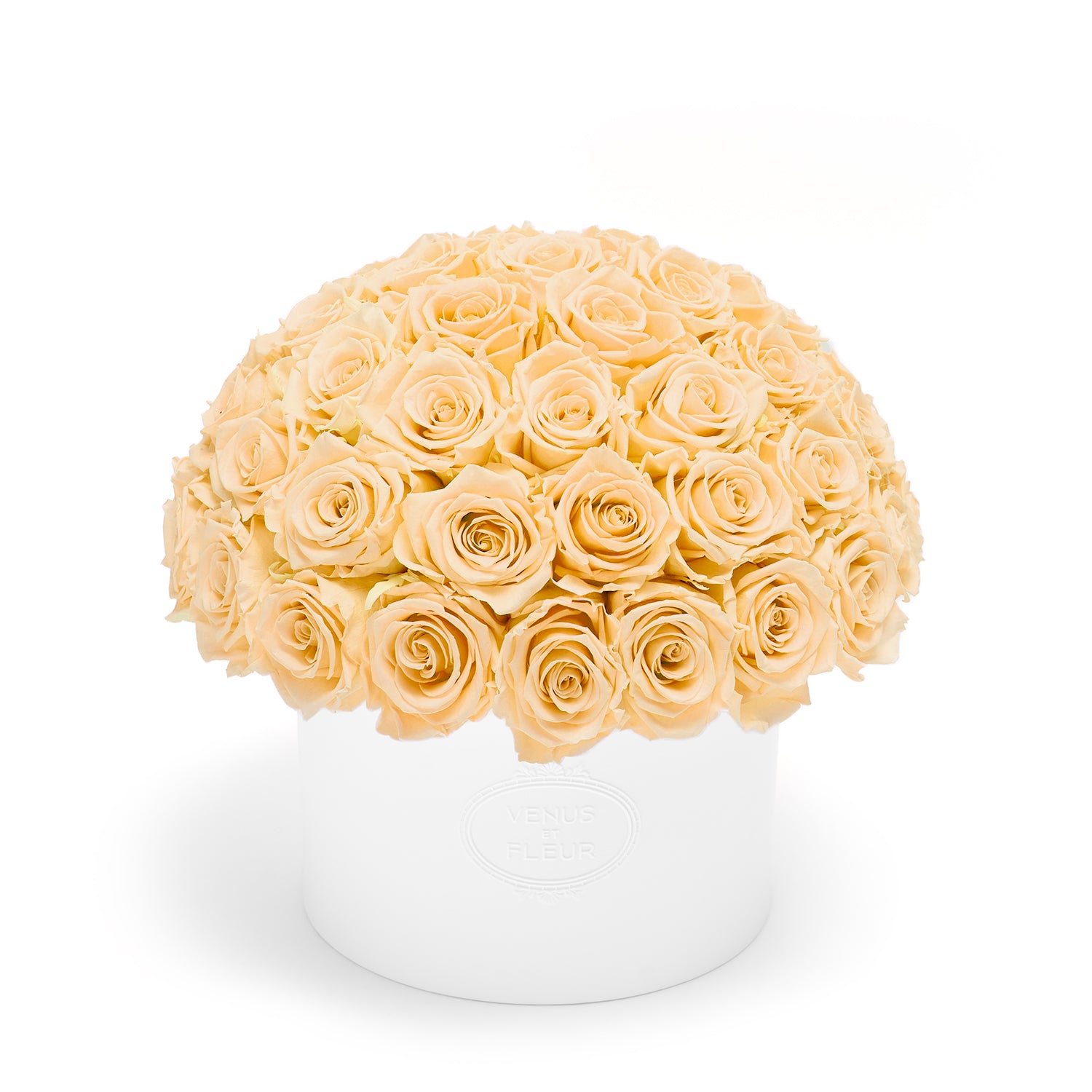 Thalia Porcelain Vase