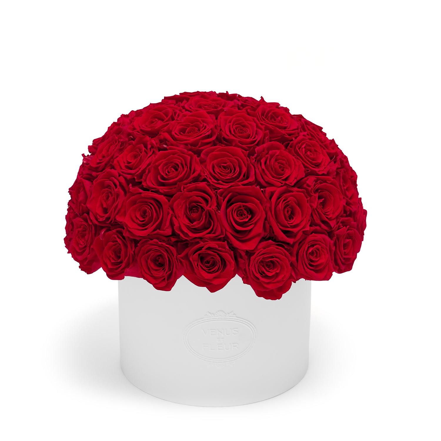 Thalia Porcelain Vase