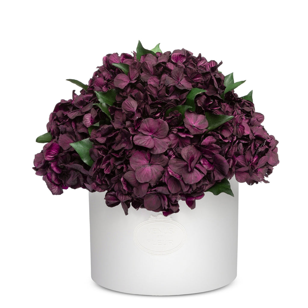 Thalia Porcelain Vase