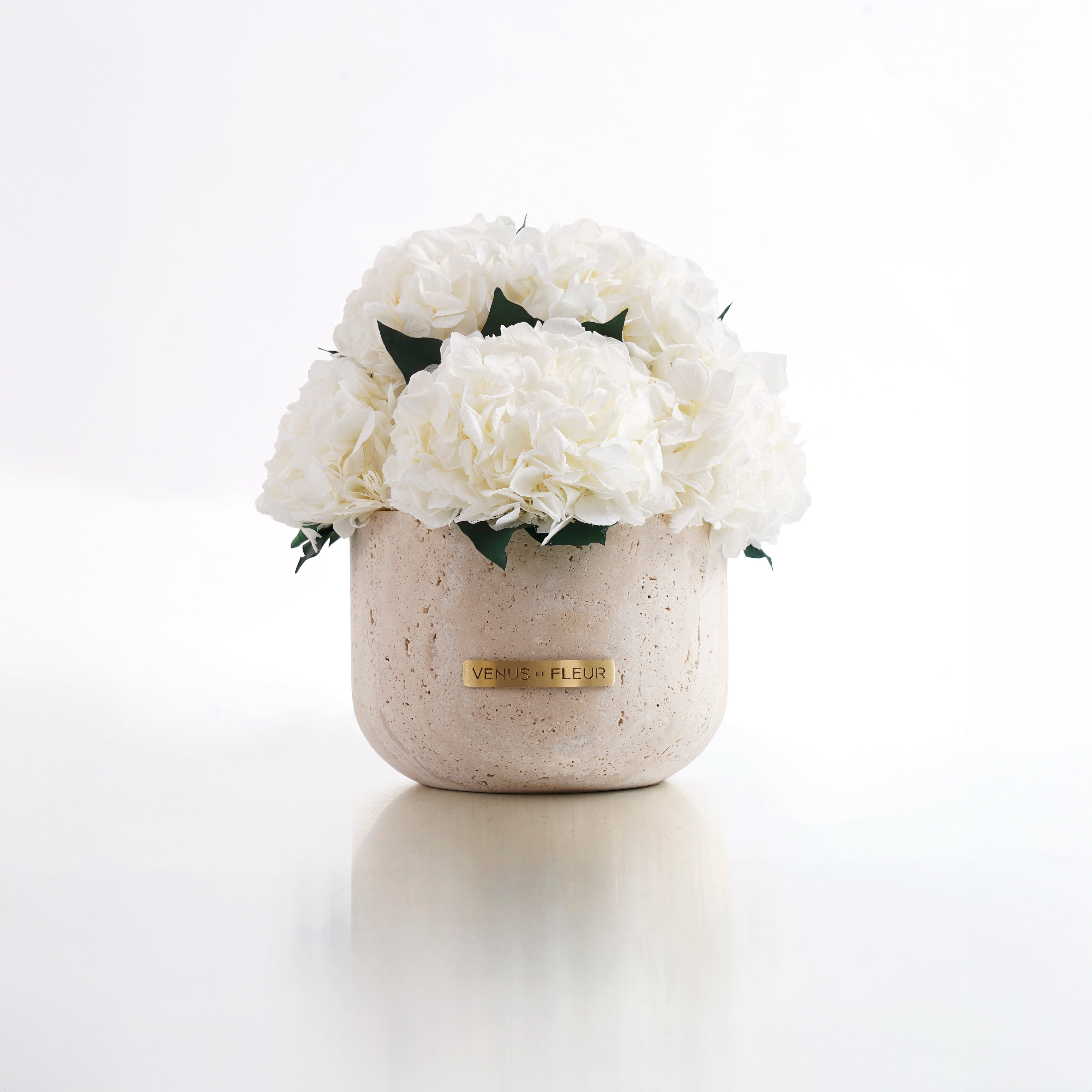 Terre Travertine Vase | Eternity Hydrangeas | Venus et Fleur