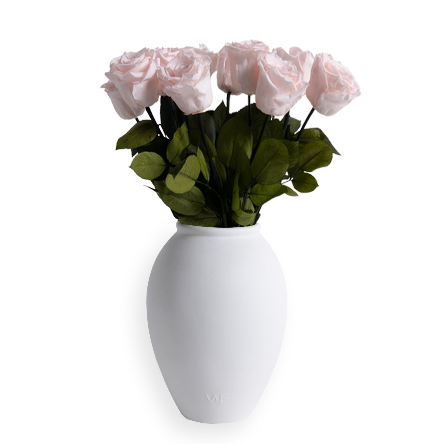 Amphora Porcelain Vase 4