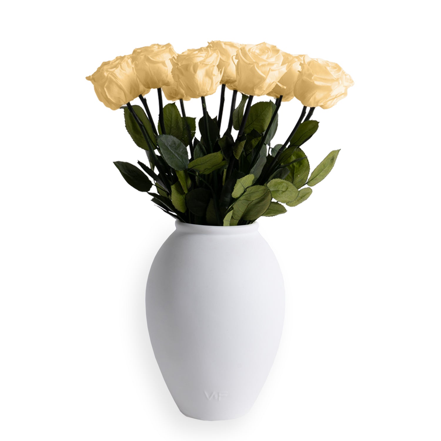 Amphora Porcelain Vase 13