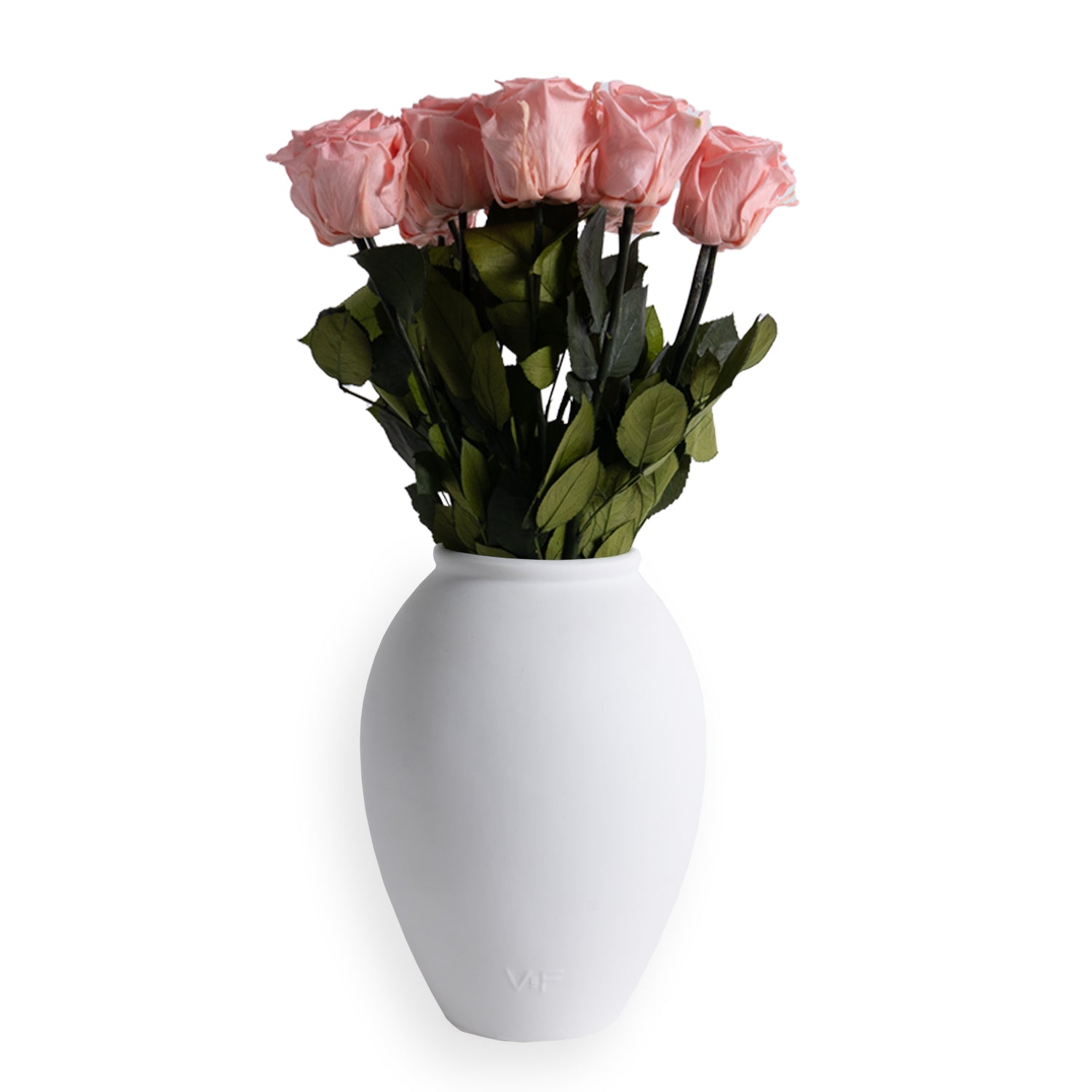 Amphora Porcelain Vase