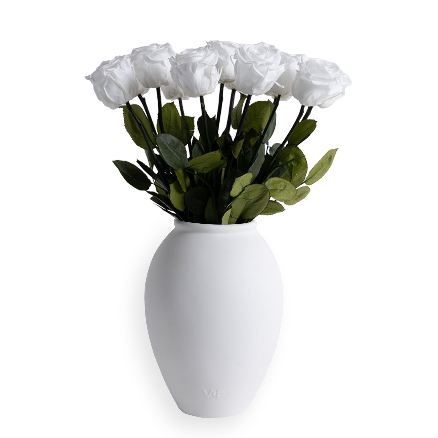 Amphora Vase in White Porcelain with 12 Roses | Venus et Fleur