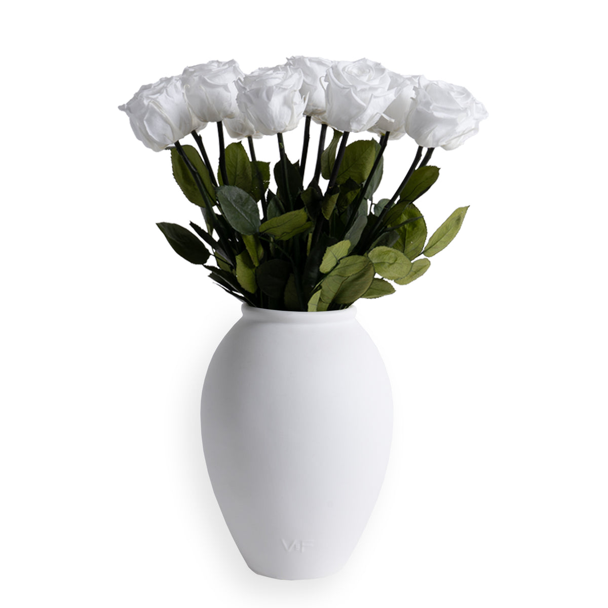 Amphora Porcelain Vase