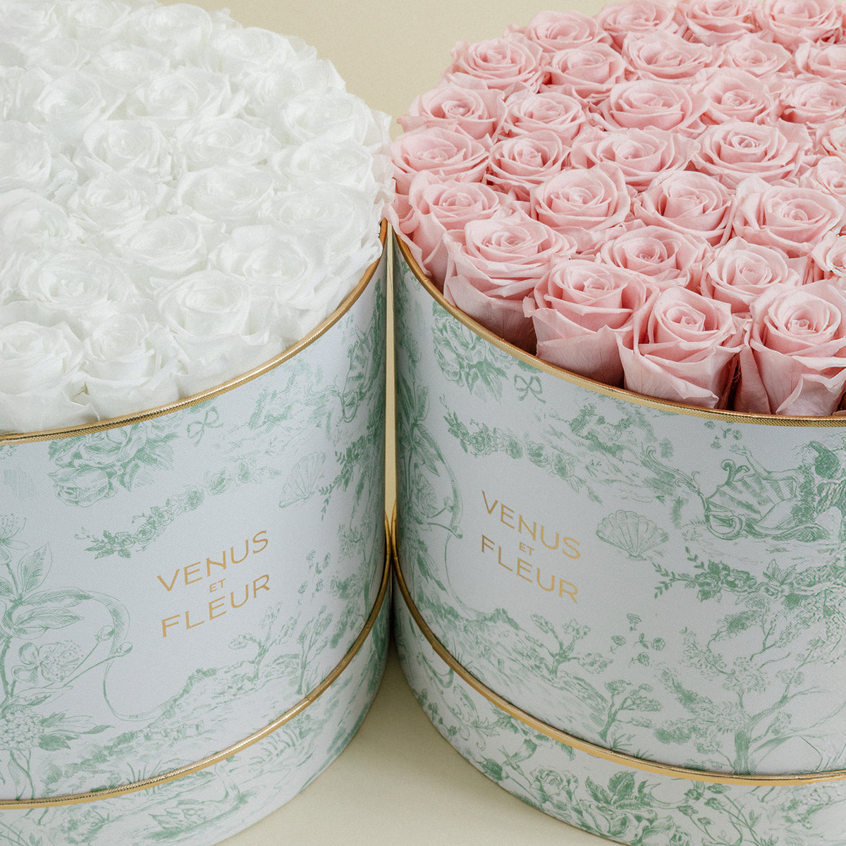 Enternity Roses Eternity® Roses: Preserved Roses That Last a Year | Venus et Fleur