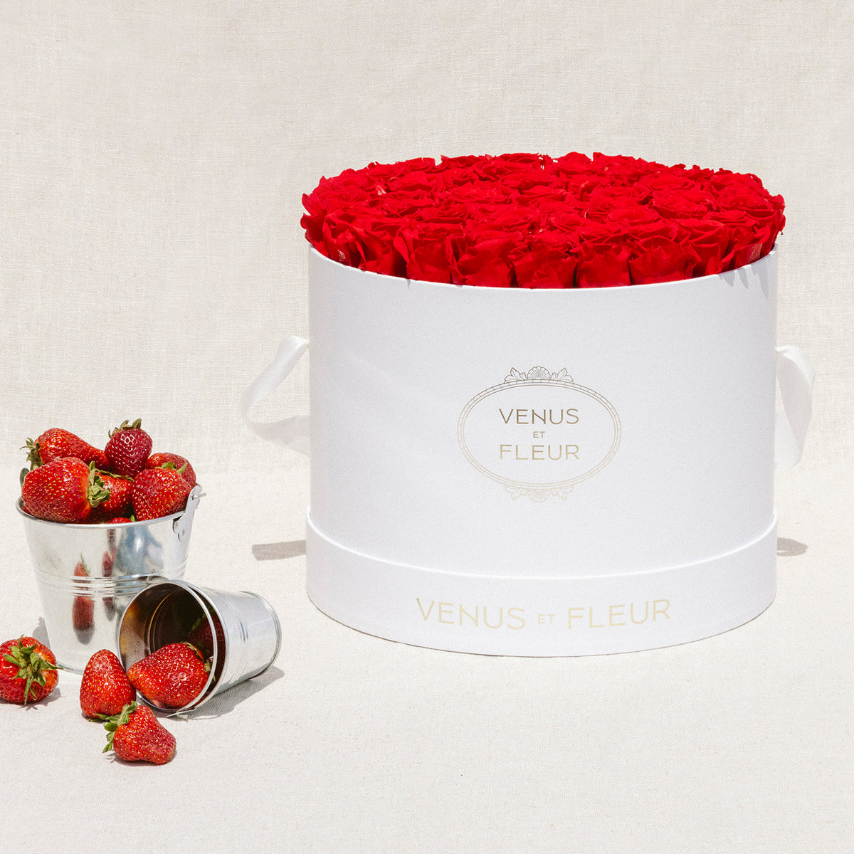 Enternity Roses Eternity® Roses: Preserved Roses That Last a Year | Venus et Fleur