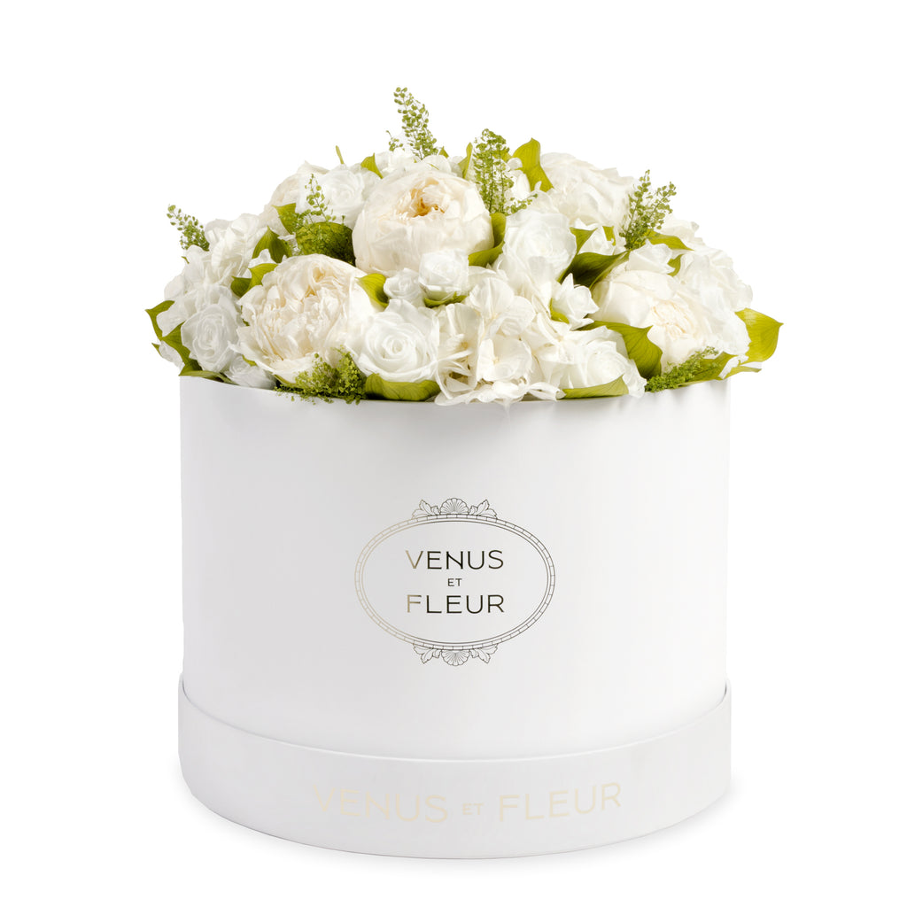 Large Round Peony Poésie