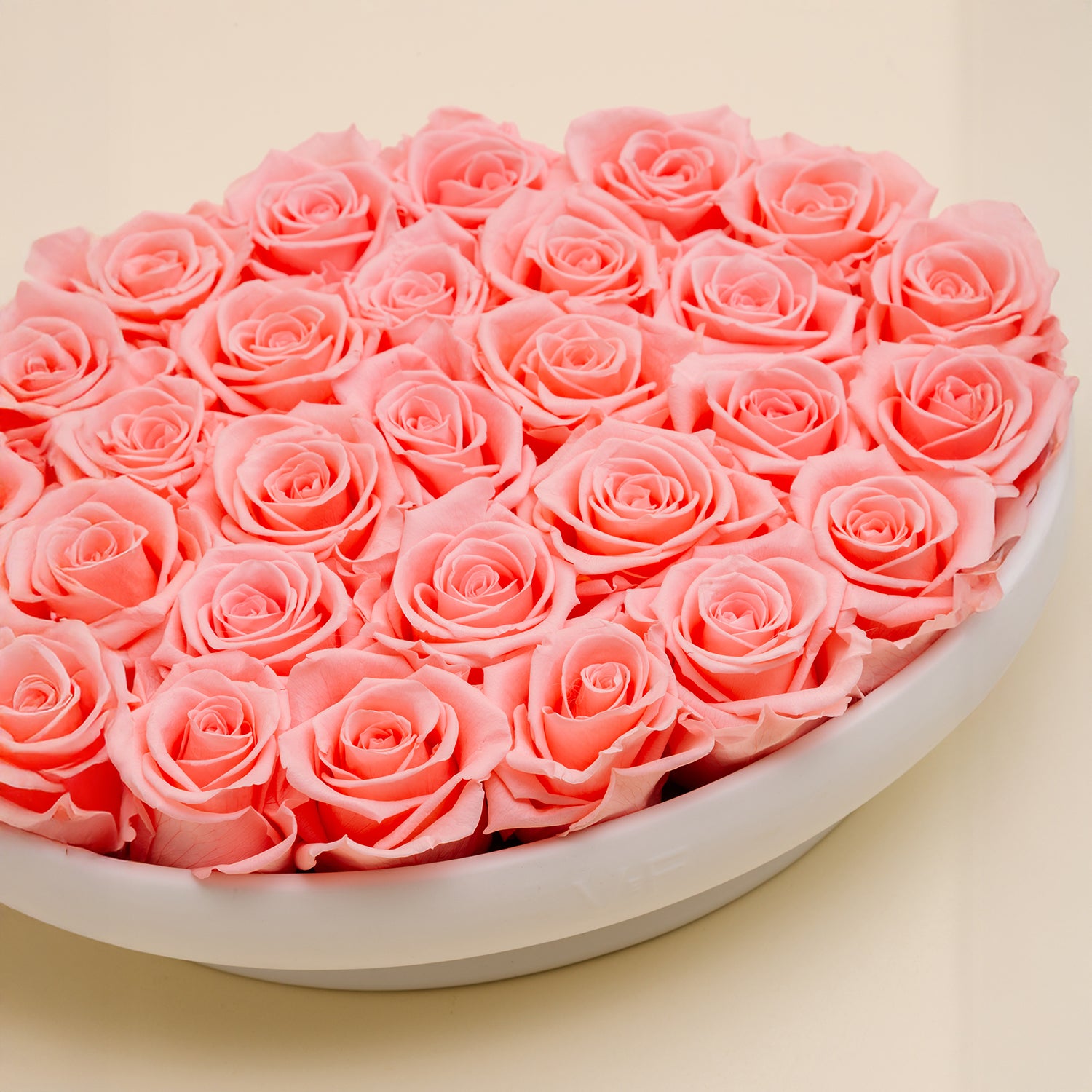 image-with-thumbnail 