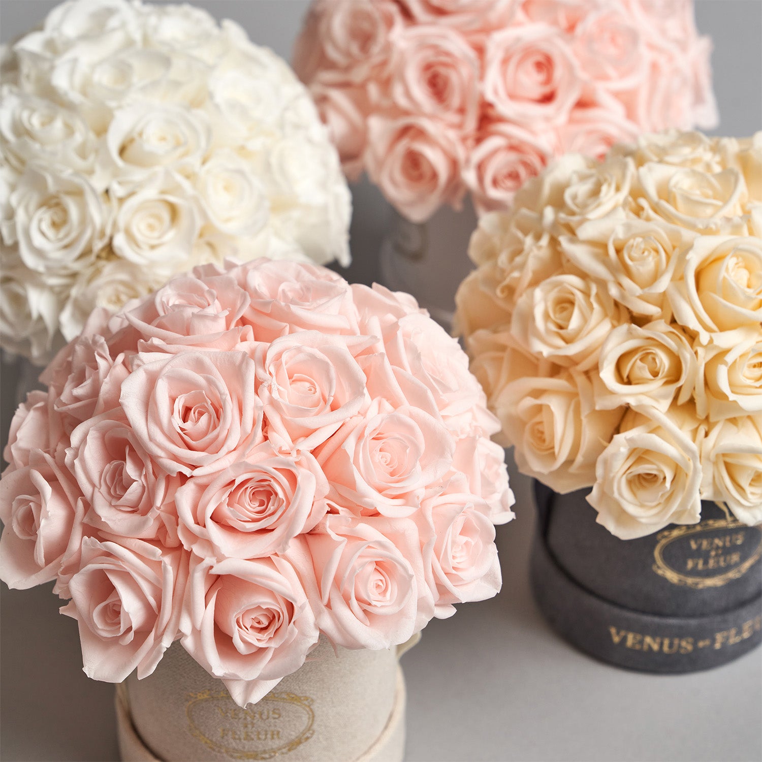 Luxury Roses, Customized Gifts & Flower Arrangements - Venus et Fleur