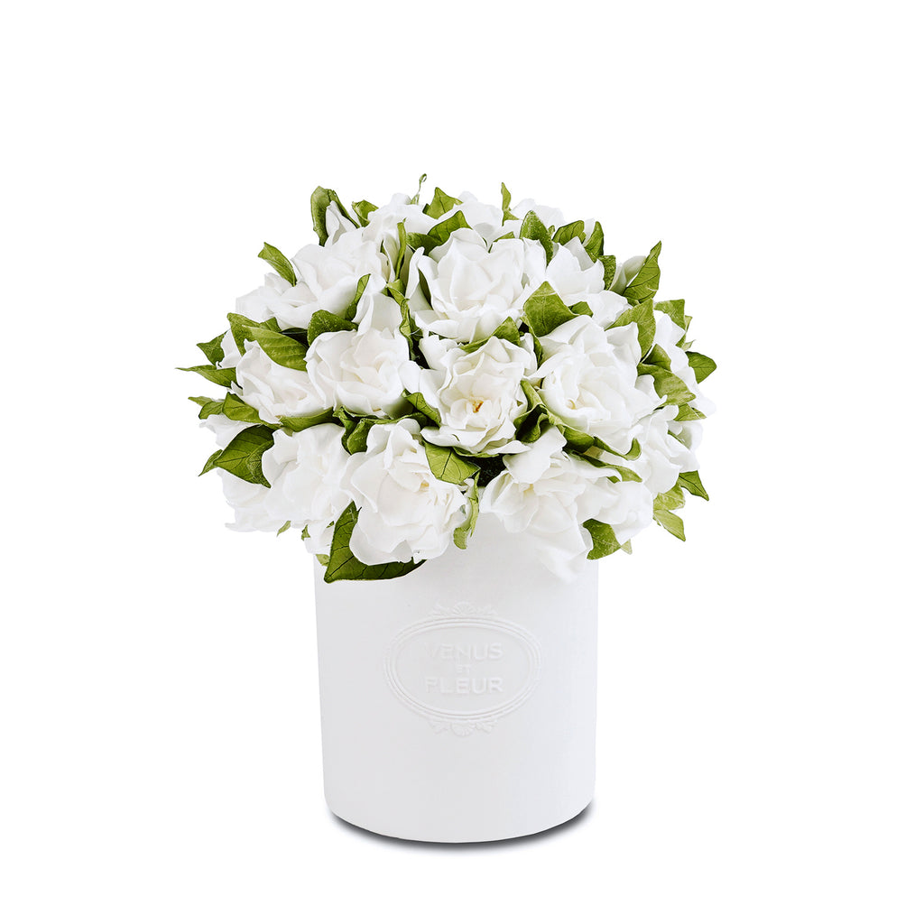 Fleura Porcelain Vase, Gardenias, White Gardenia Magnifica, Mixed Gardenias & Roses, Venus et Fleur