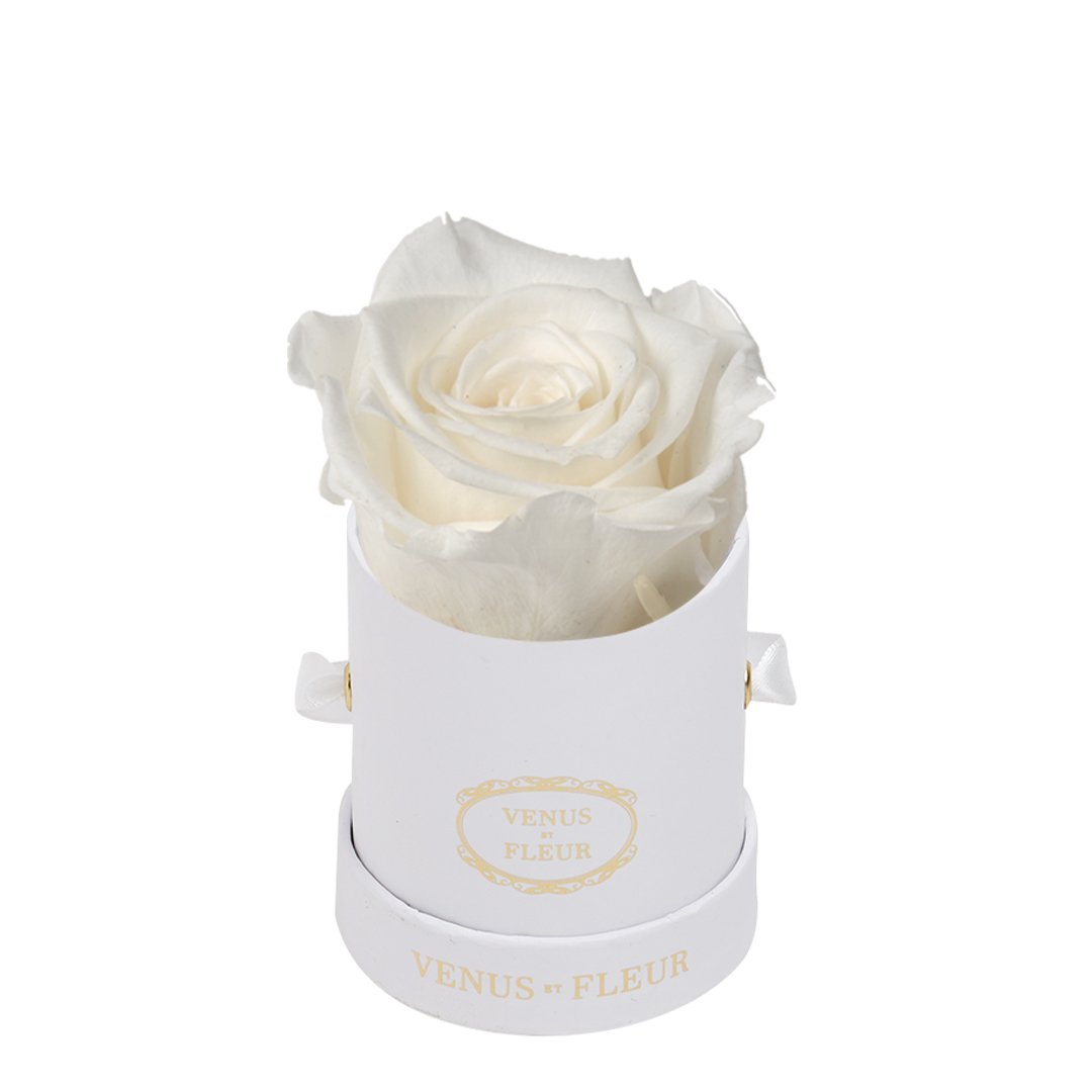 Mini Round Signature White