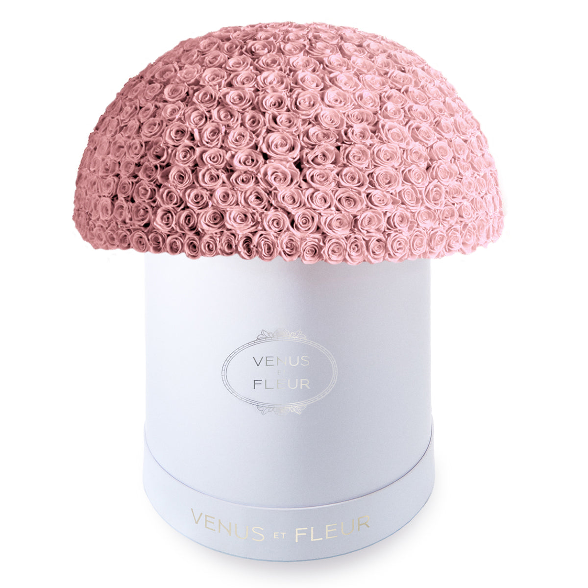 White cylindrical box with a dome of pink roses on top, labeled 'VENUS ET FLEUR'