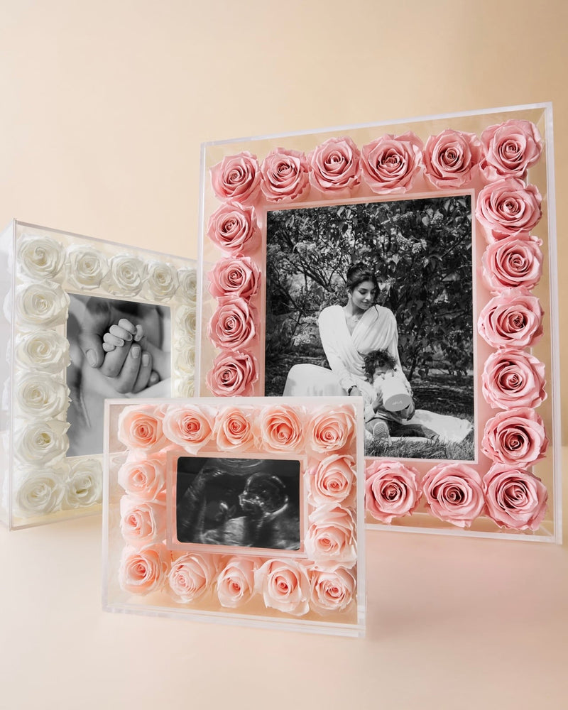 All Gifts — collection menu — Picture Frames