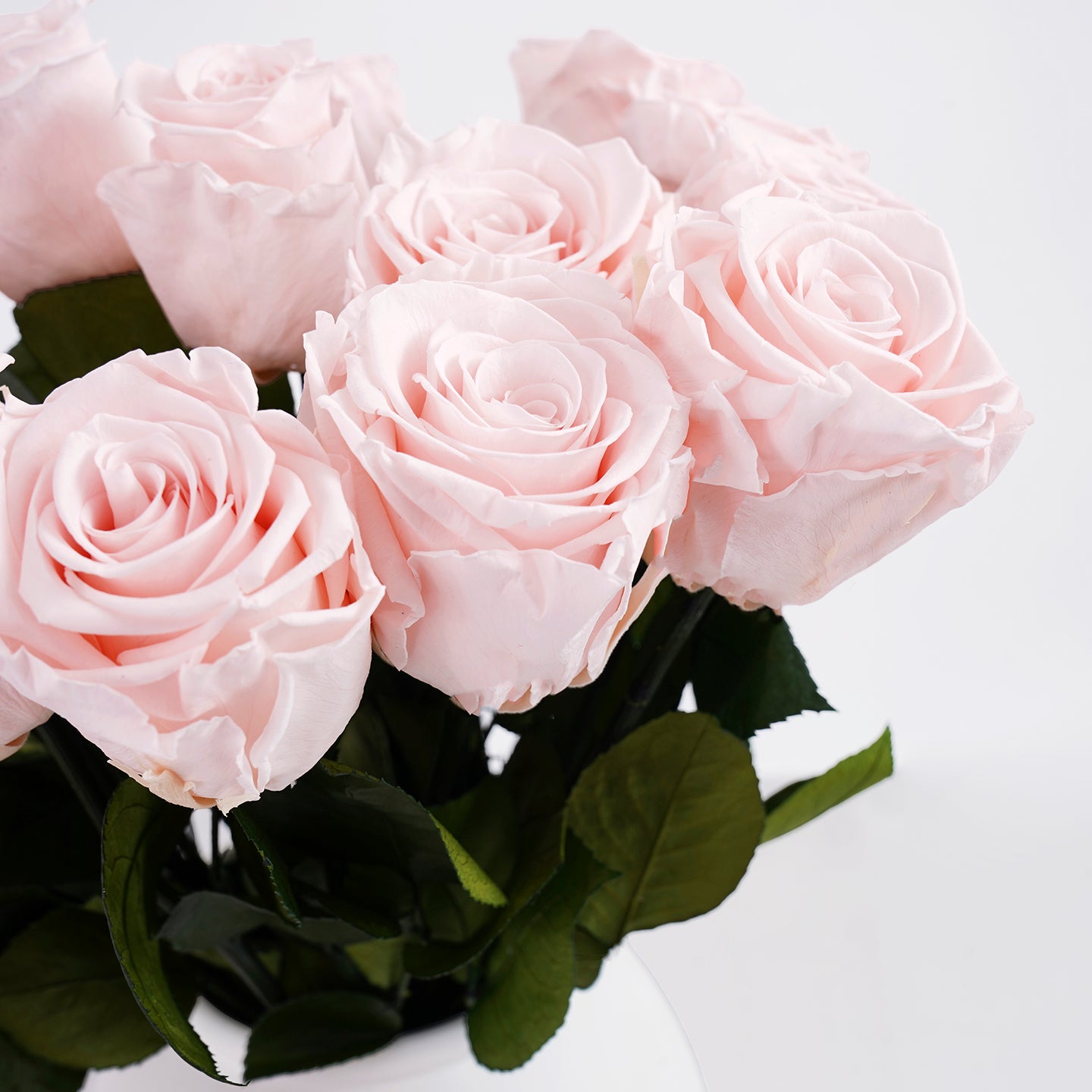 Eternity® Roses: Preserved Roses That Last a Year | Venus et Fleur