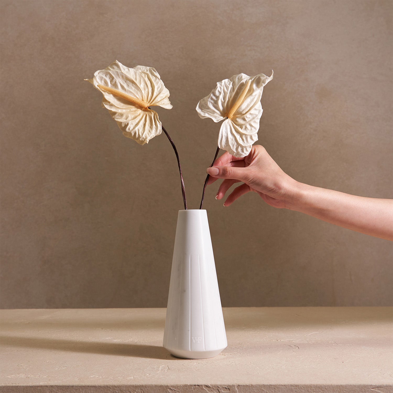 image-with-thumbnail 