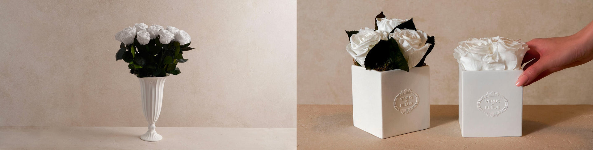 Apology Flowers Gifts — collection header (desktop)