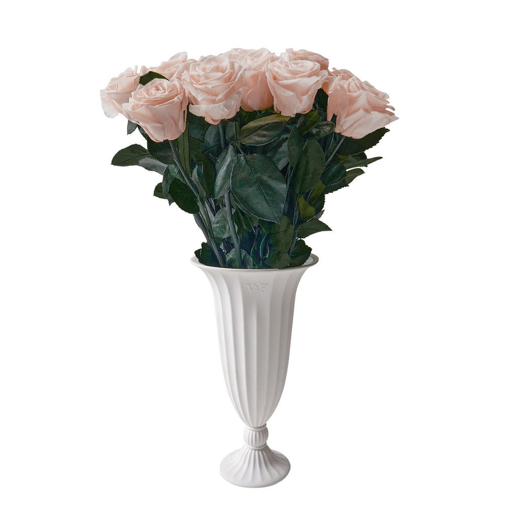Aphrodite Porcelain Vase, One Dozen, Blush, 12 Long-Stem Eternity Roses, Venus et Fleur