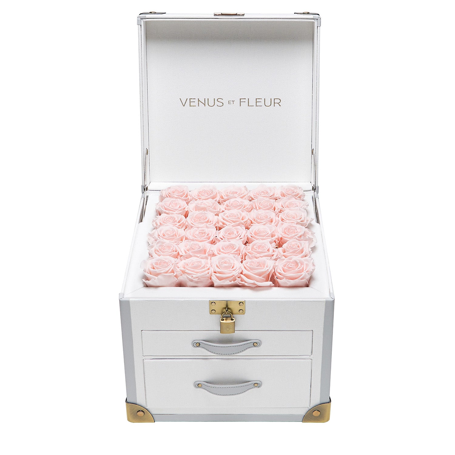 Luxury Eternity ® Roses | Preserved Roses by Venus et Fleur