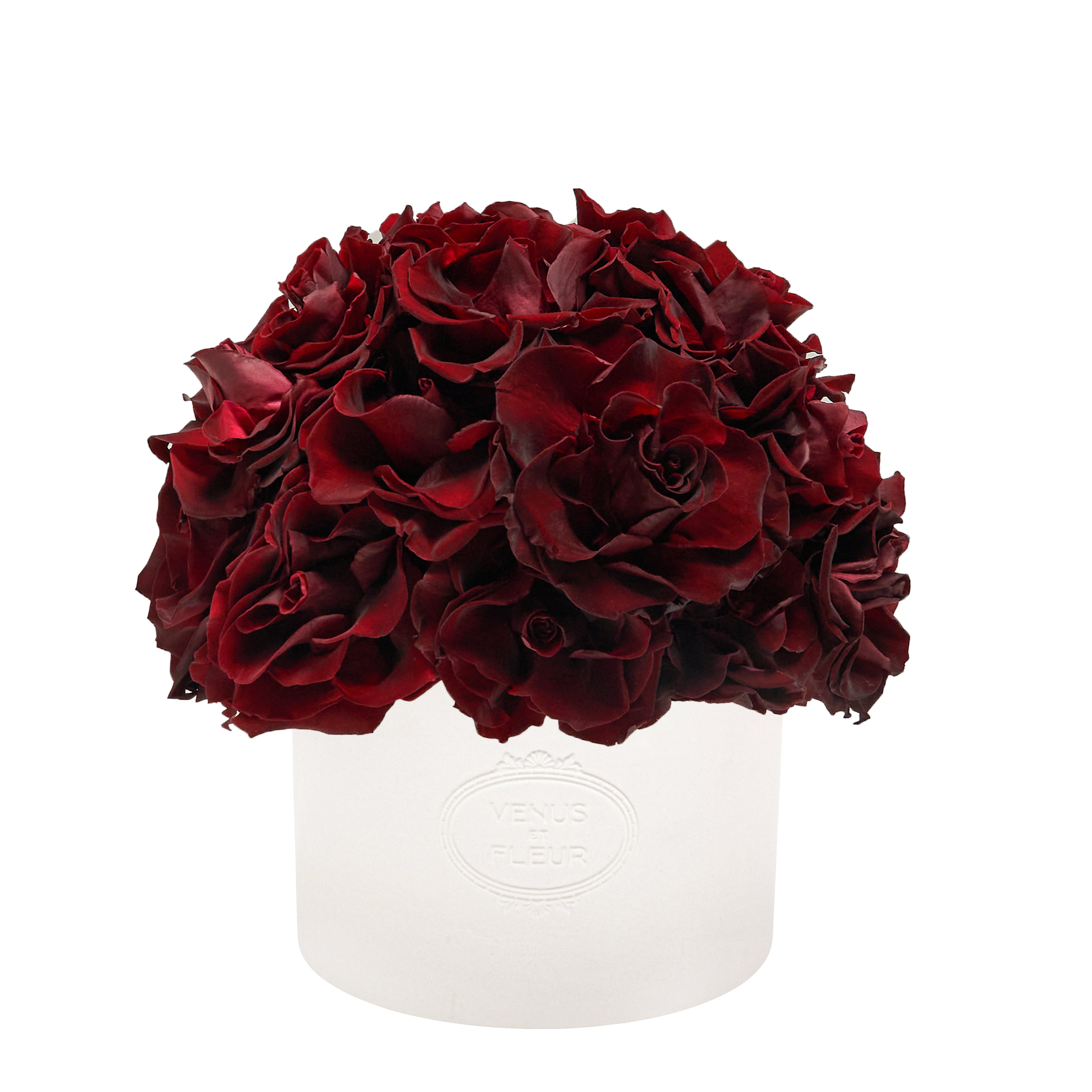 Thalia Porcelain Vase