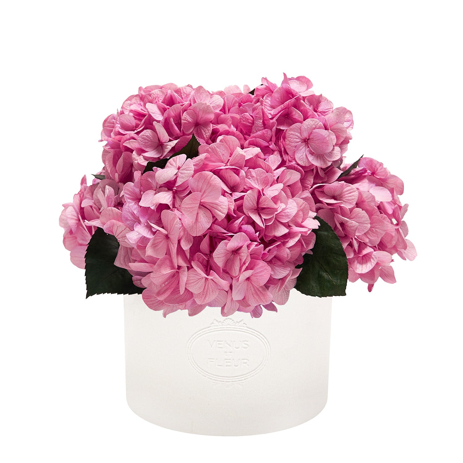 Thalia Porcelain Vase