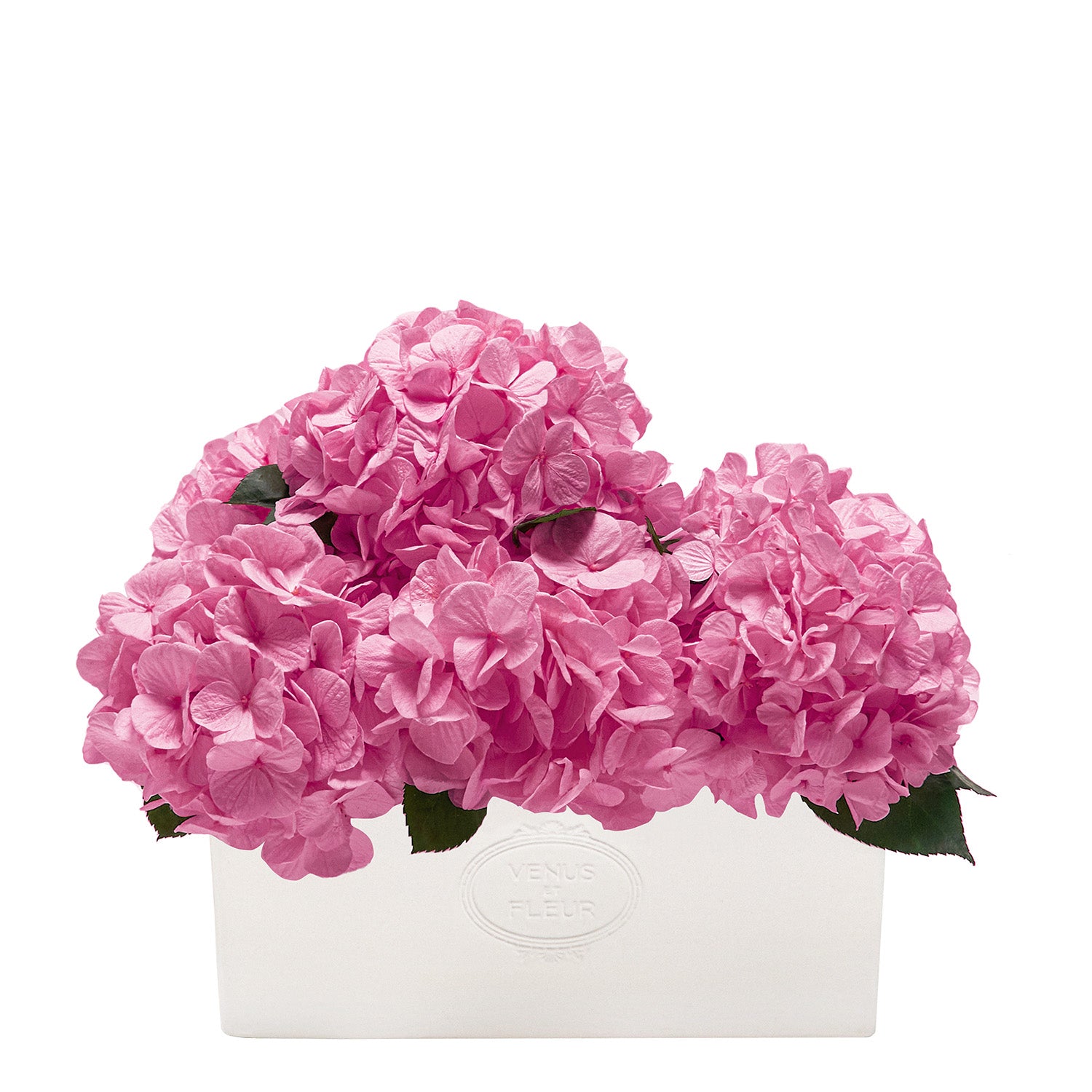 Serene Porcelain Vase