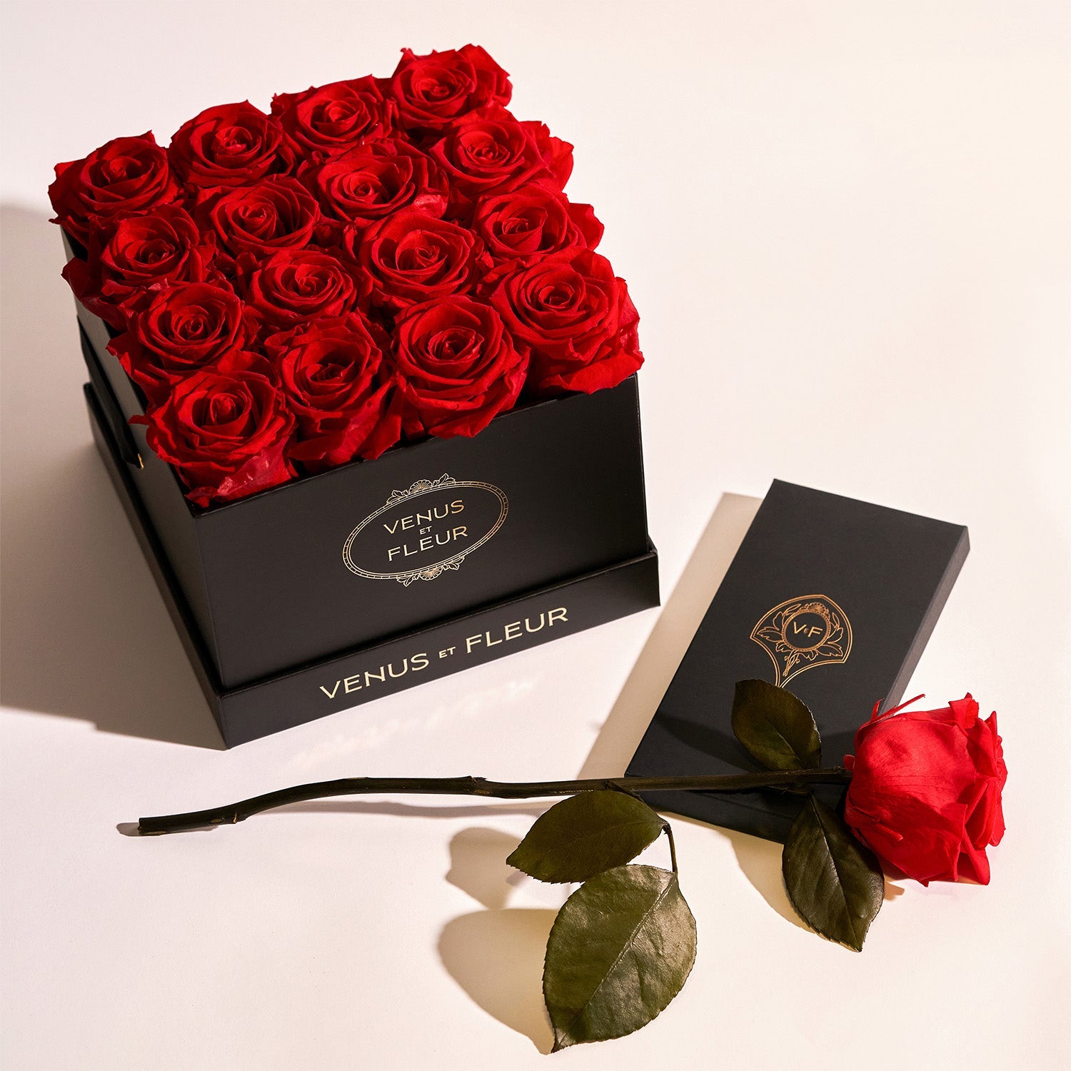 Eternity® Roses: Preserved Roses That Last a Year | Venus et Fleur