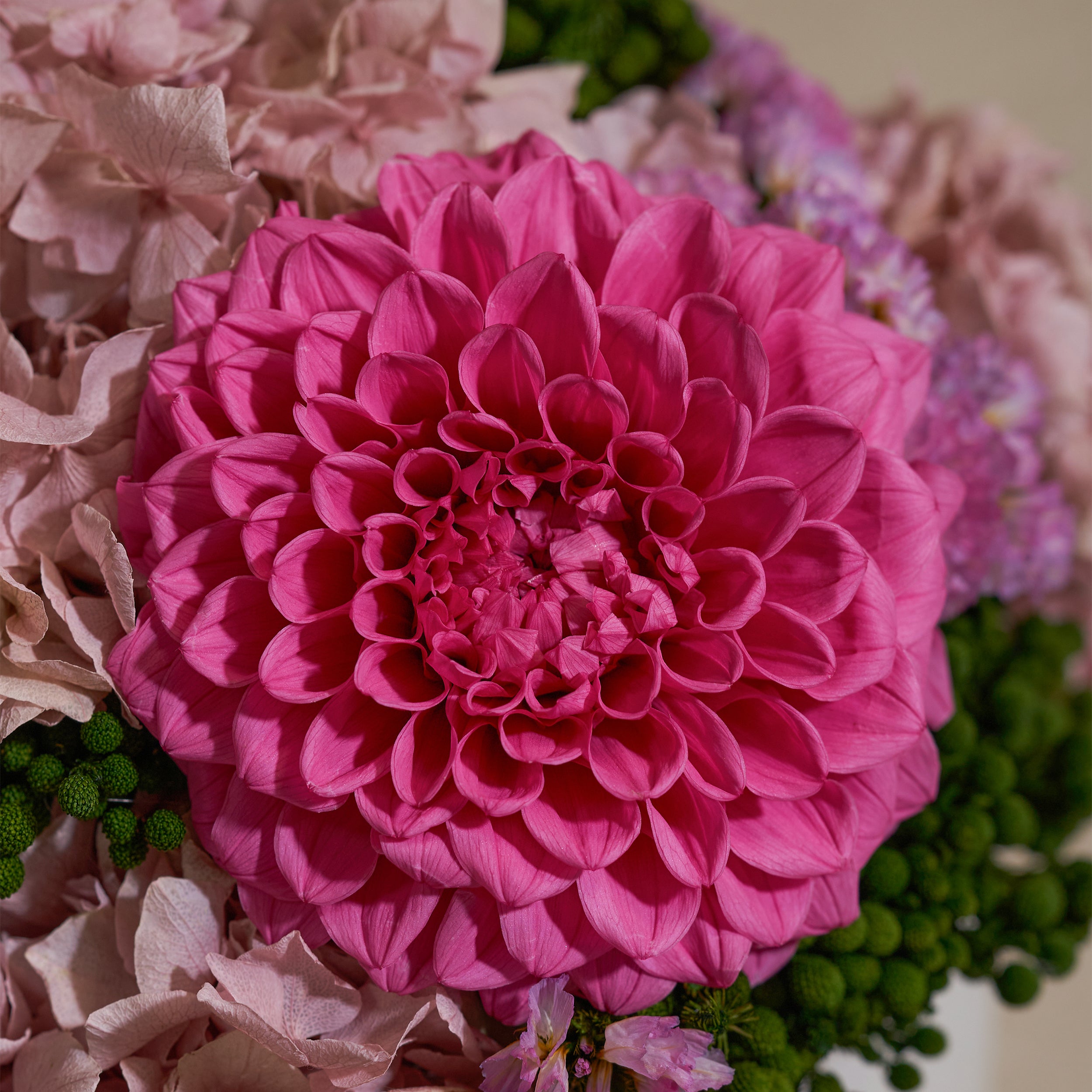 image-with-thumbnail 