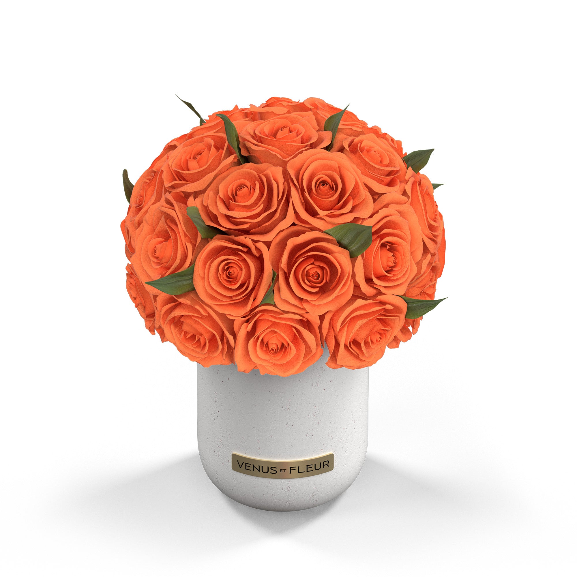 Eternity® Flowers & Roses That Last a Year Venus et Fleur Page 4