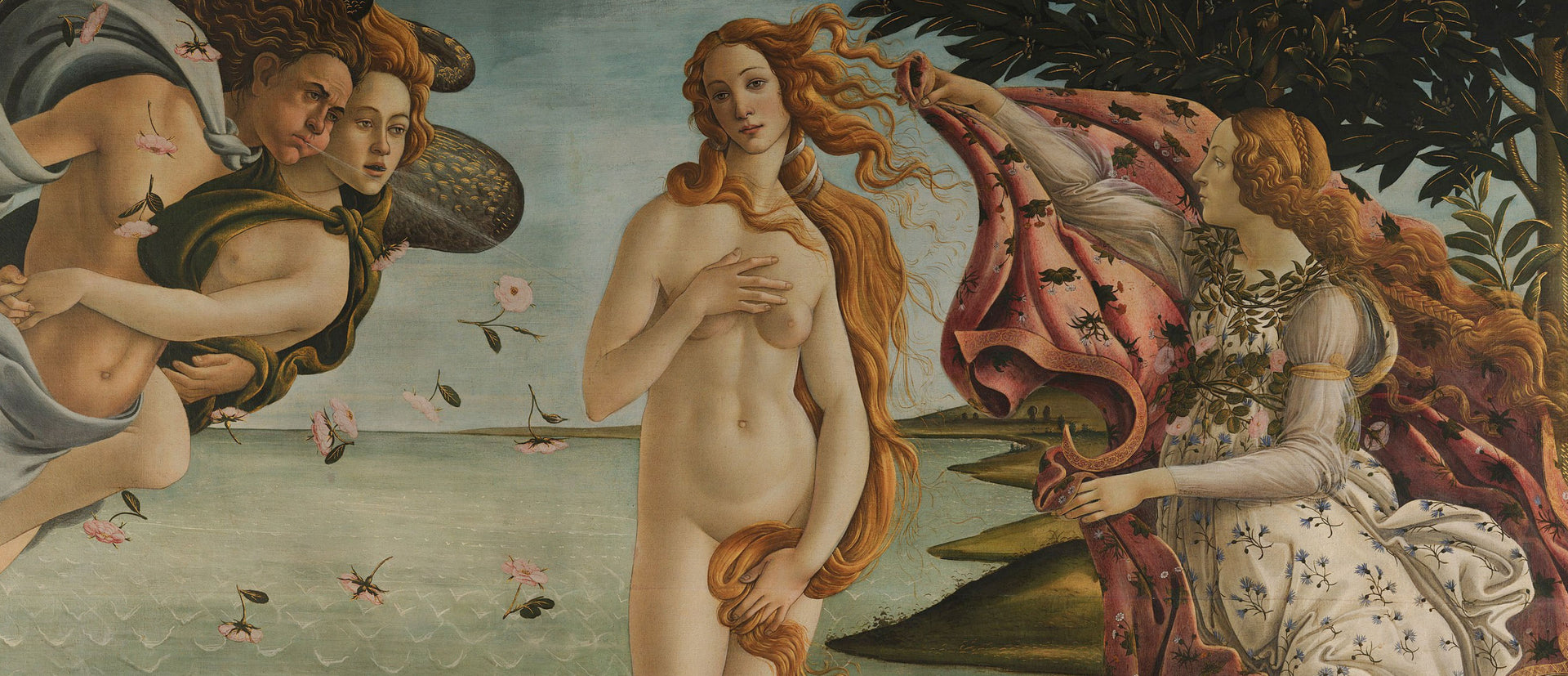 Image of the birth of Venus painting by Sandro Botticelli 