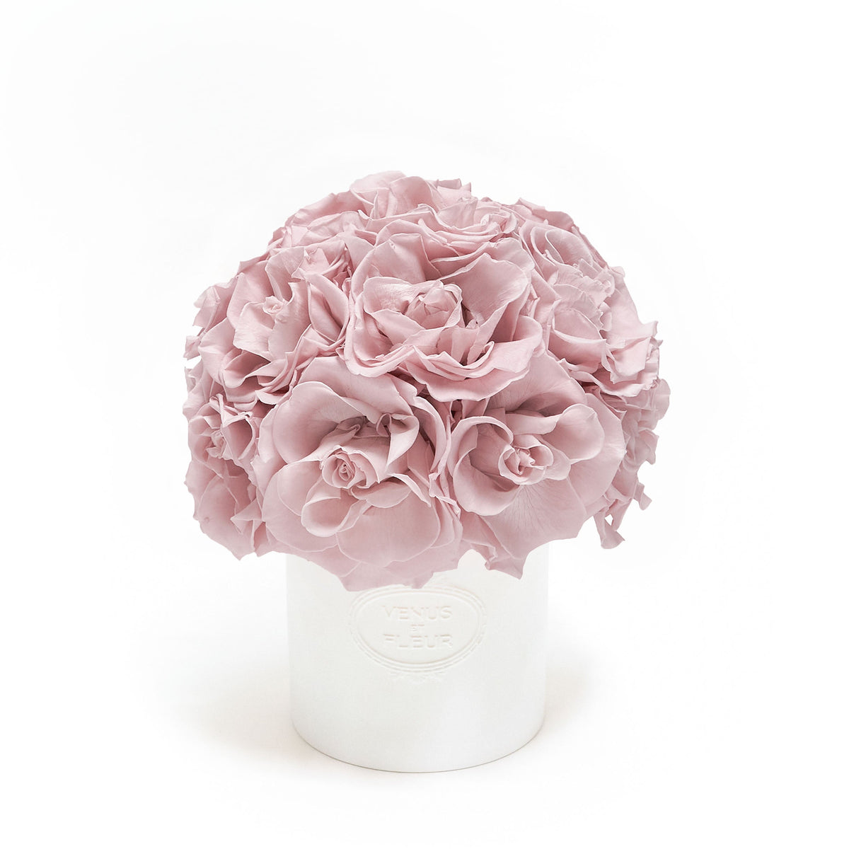 Luxury Eternity ® Roses | Preserved Roses by Venus et Fleur