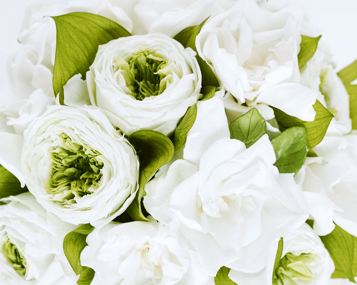 Eternity Gardenias — footer