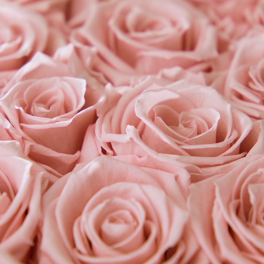 Eternity Roses — footer
