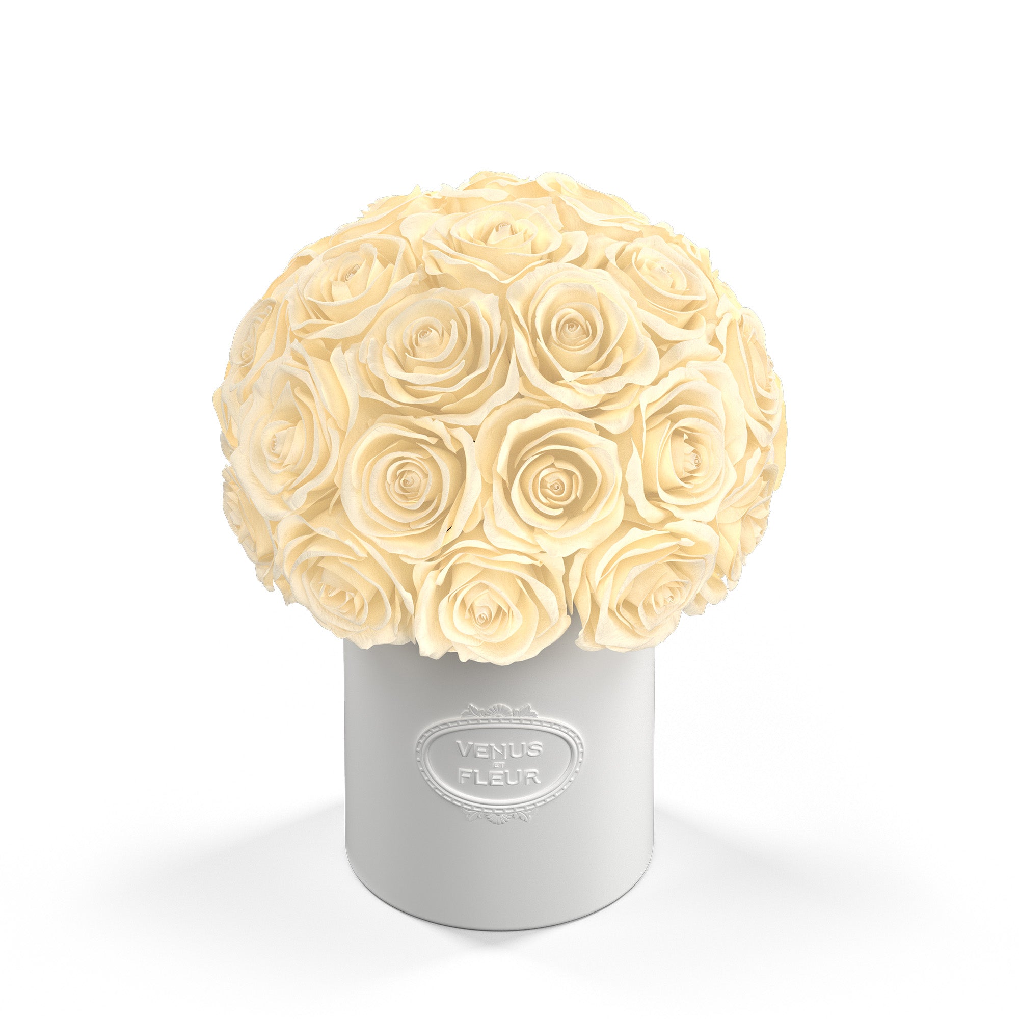 Fleura Porcelain Vase 14