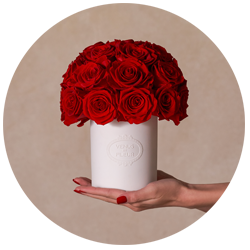 Hand holding a white vase with a bouquet of red roses