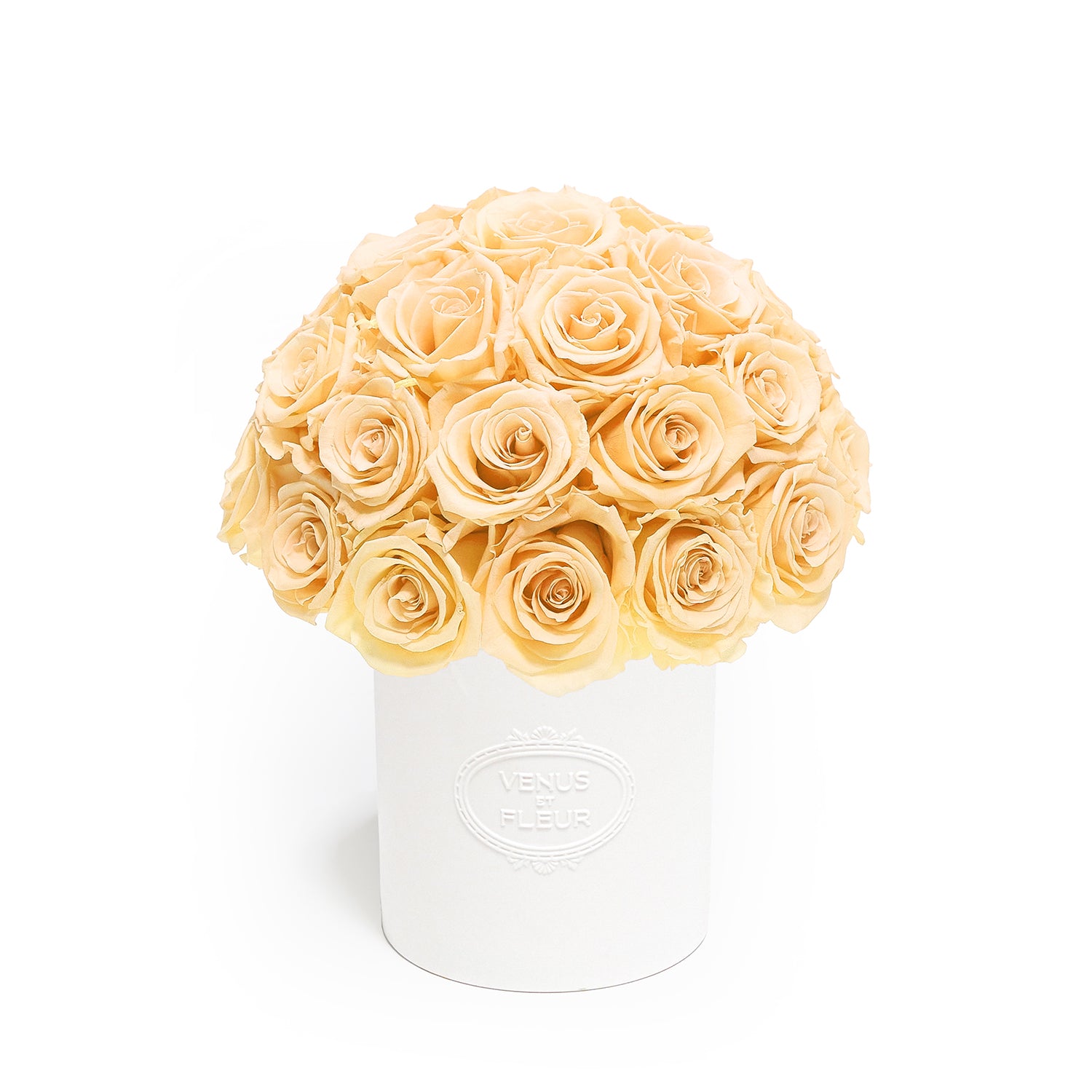Fleura Porcelain Vase 28