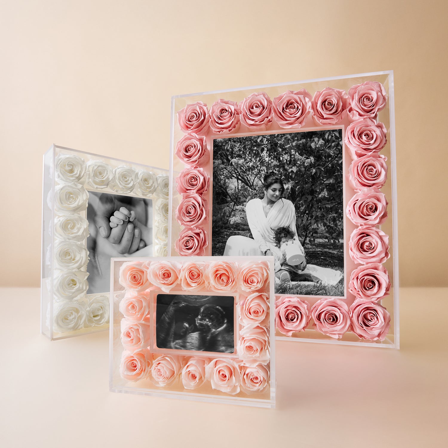 Grand Fleur Frame with Eternity Roses | Venus et Fleur