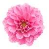 Cheerful, Playful, Uplifting.