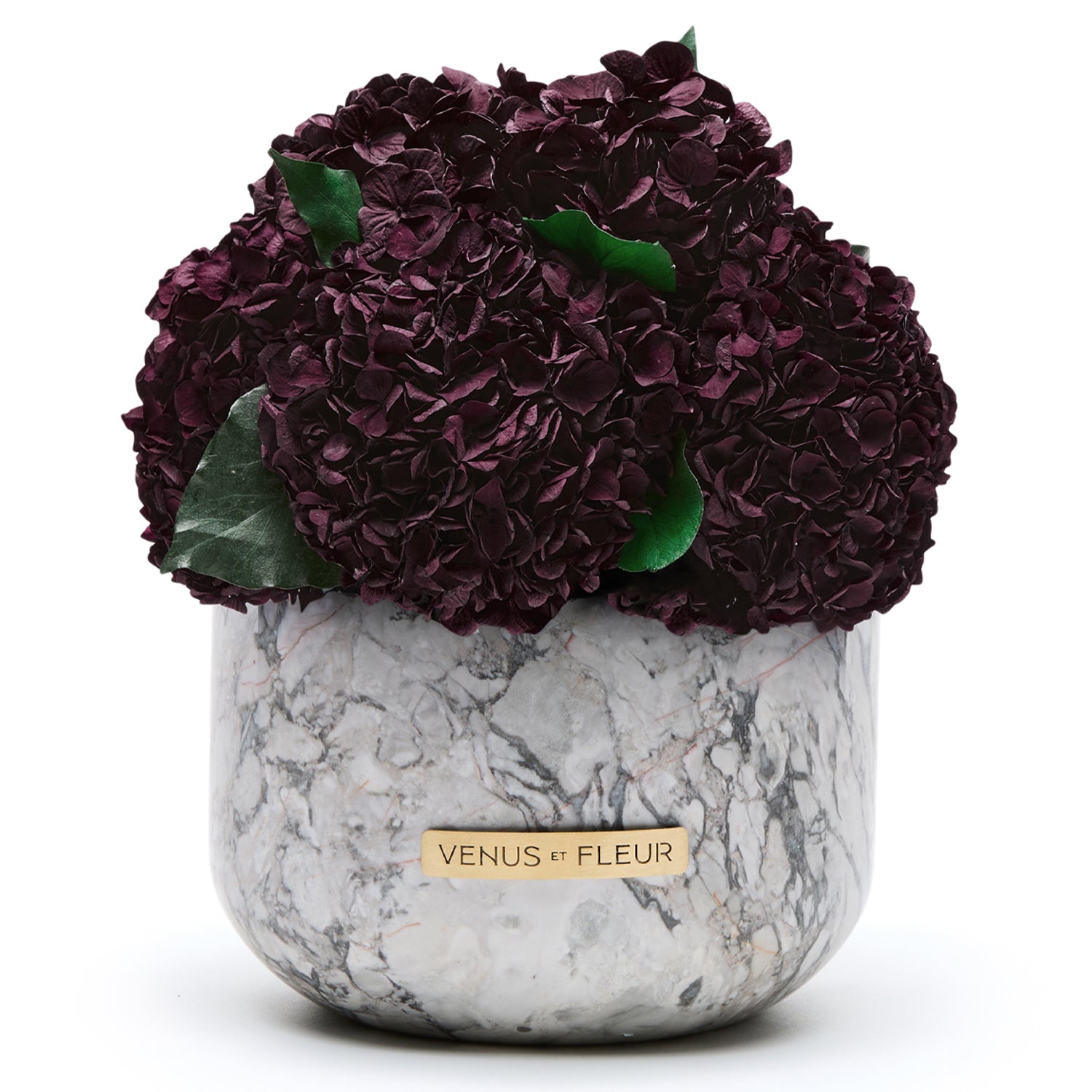 Gia Marble Vase with Eternity Roses | Venus et Fleur