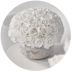 Bouquet of white roses arranged in a round shape inside a gray decorative container with a gold label.