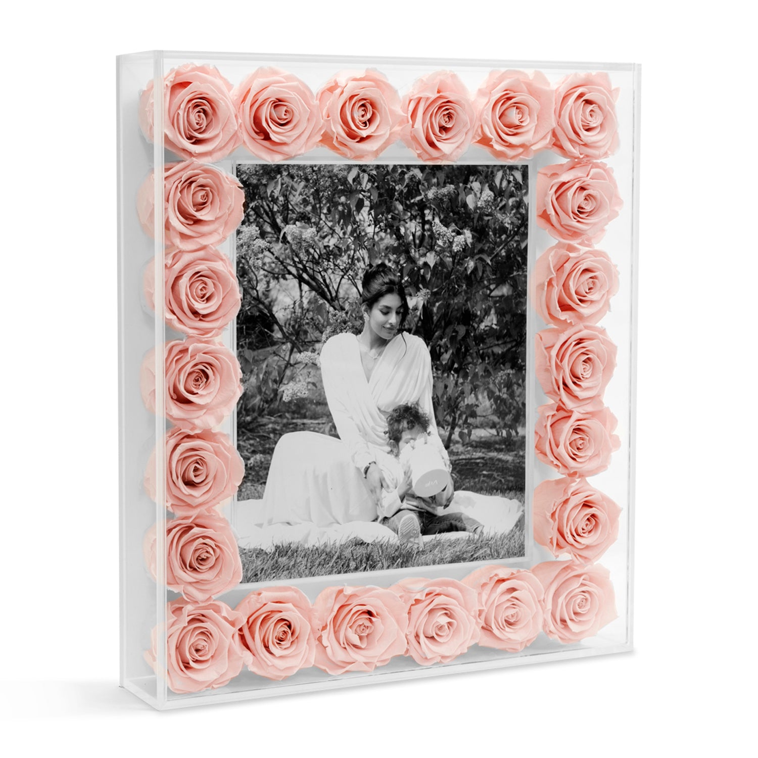 Grand Fleur Frame with Eternity Roses | Venus et Fleur