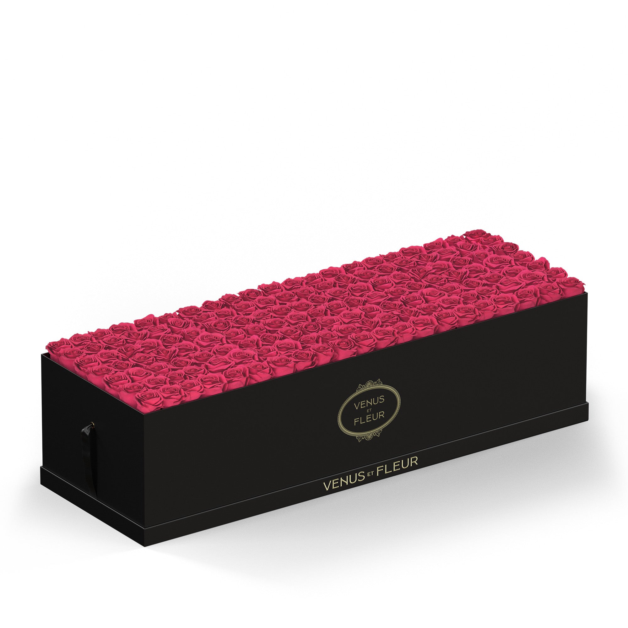 BAISER ベーゼ EN FLEUR 限定BOX BASQUE CHEESECAKE Original & Flower Box - Limited Box -
