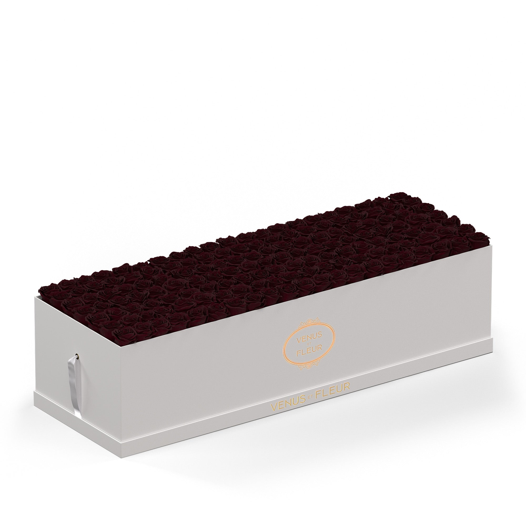 BAISER ベーゼ EN FLEUR 限定BOX Large Square Blush Box with Eternity Roses | Venus et Fleur