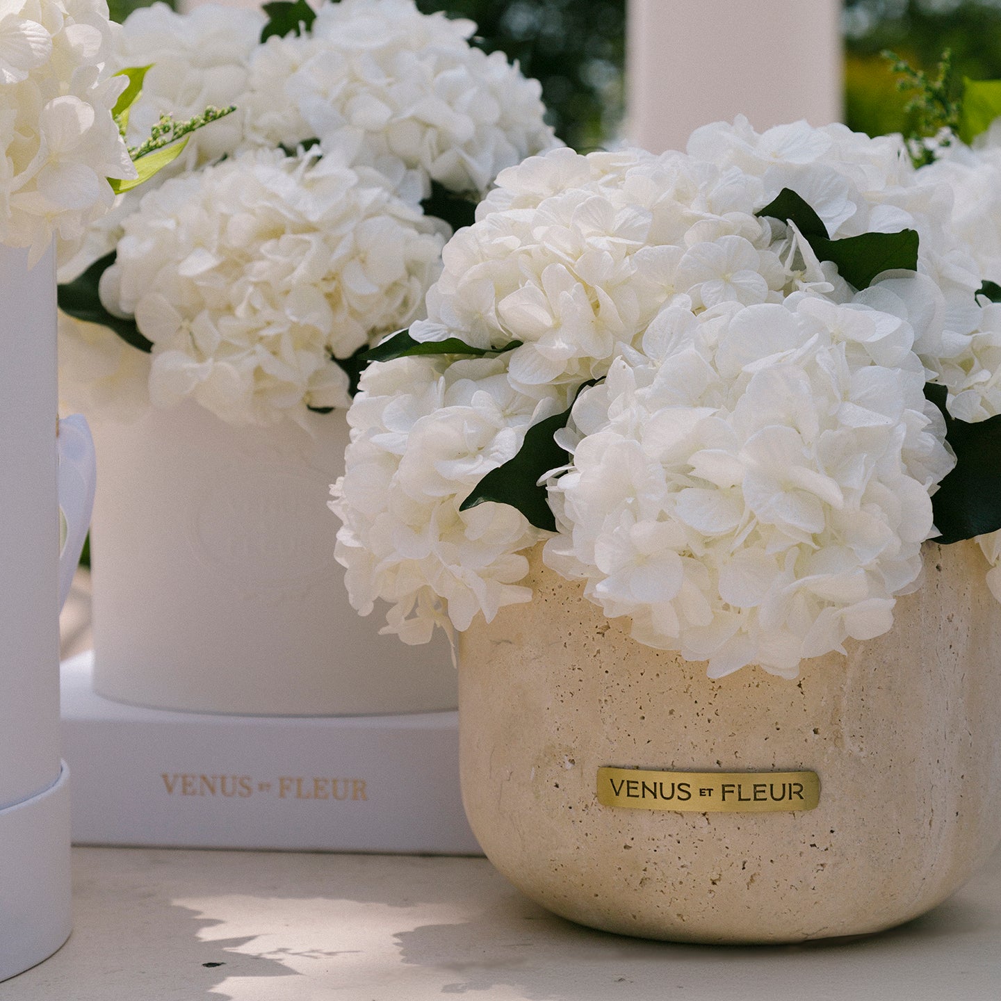 Gia Marble Vase with Eternity Roses | Venus et Fleur