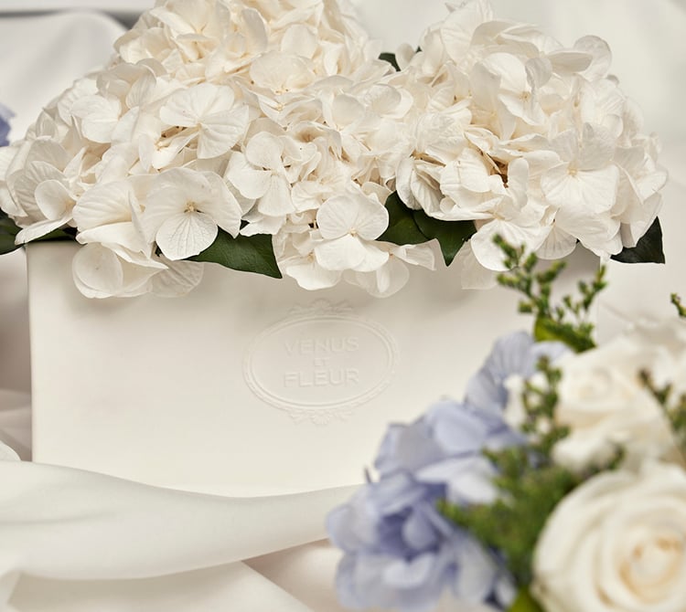 Hydrangeas — footer