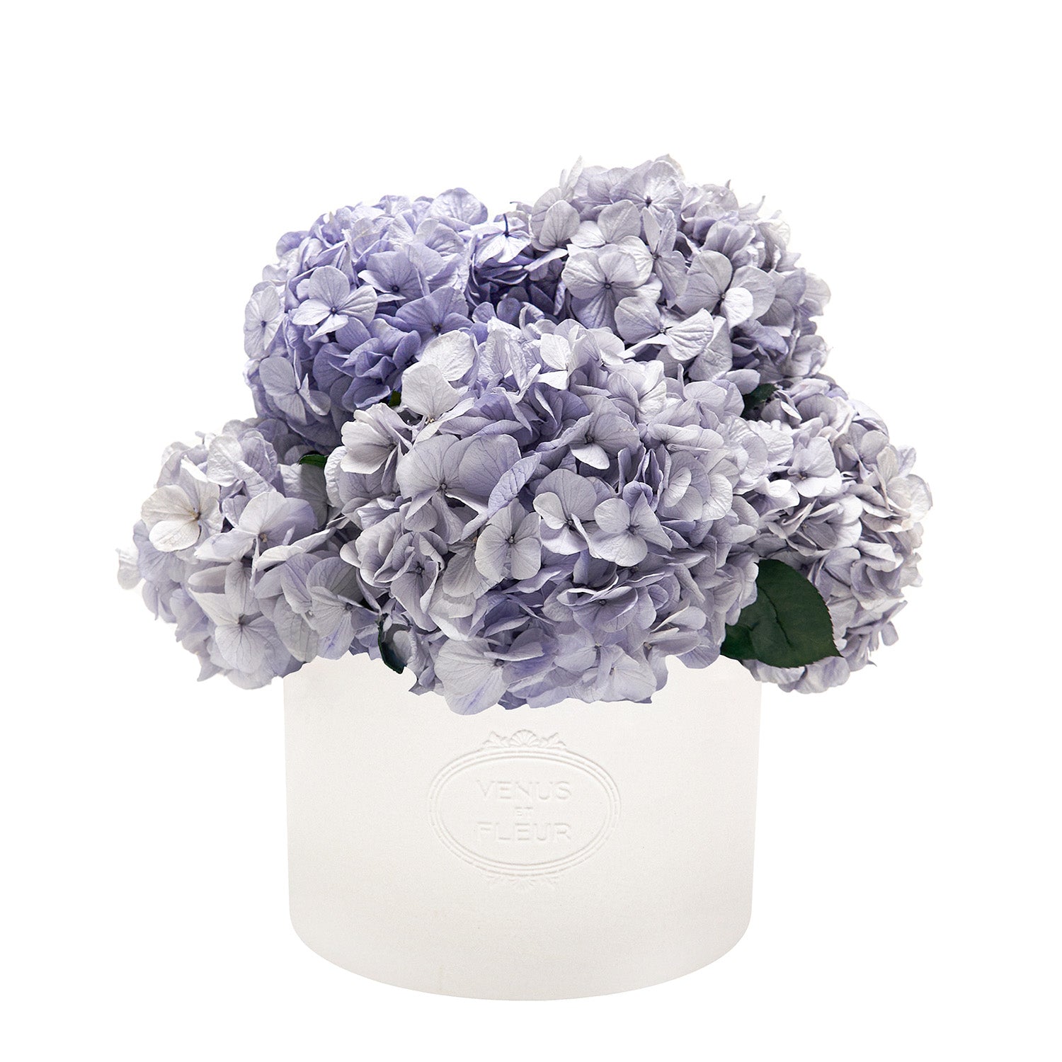 Thalia Porcelain Vase with Fall Hydrangeas | Venus et Fleur