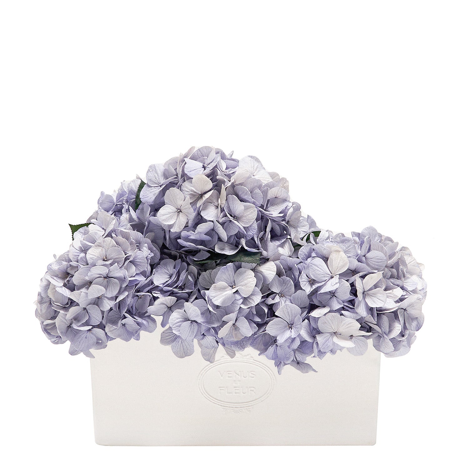 Serene Porcelain Vase